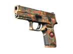 P250 | Red Rock image